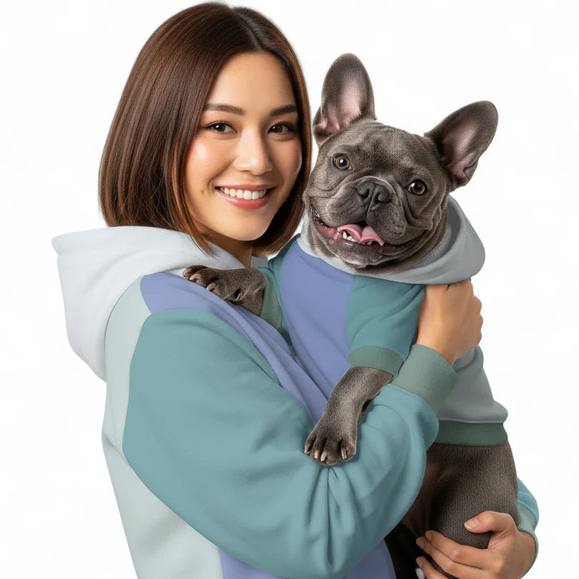 Frenchie Color-Block Hoodie