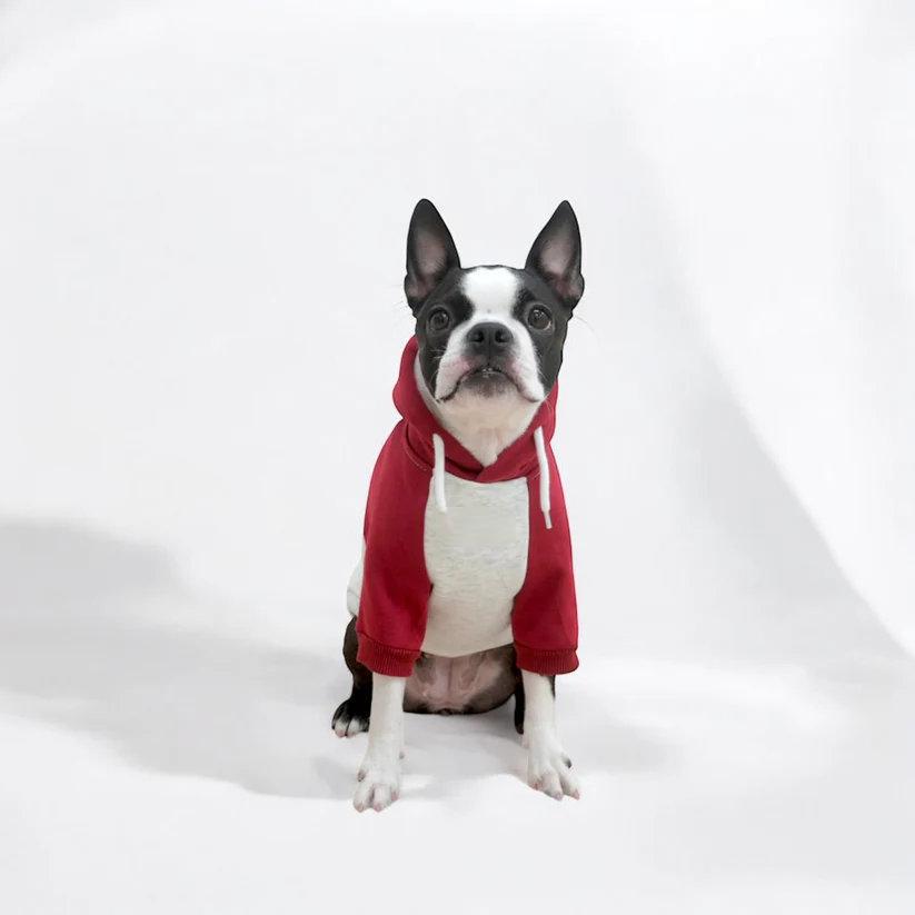 Frenchie Graphic Hoodie