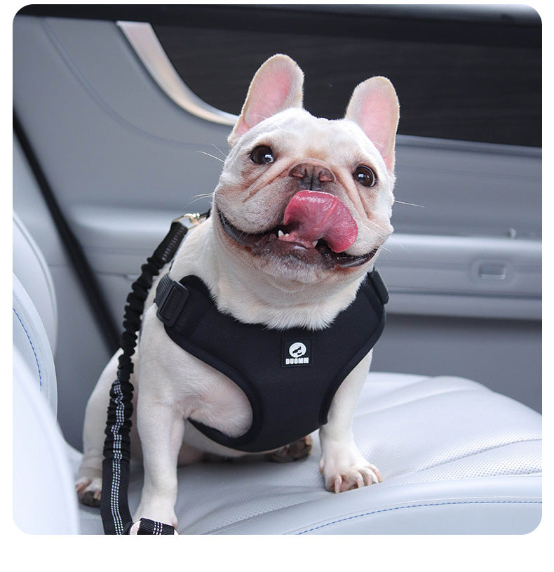 French Bulldog Car Safety Harness with Adjustable Seat Belt Leash