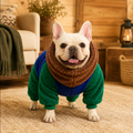 French Bulldog Sherpa Fleece Onesie