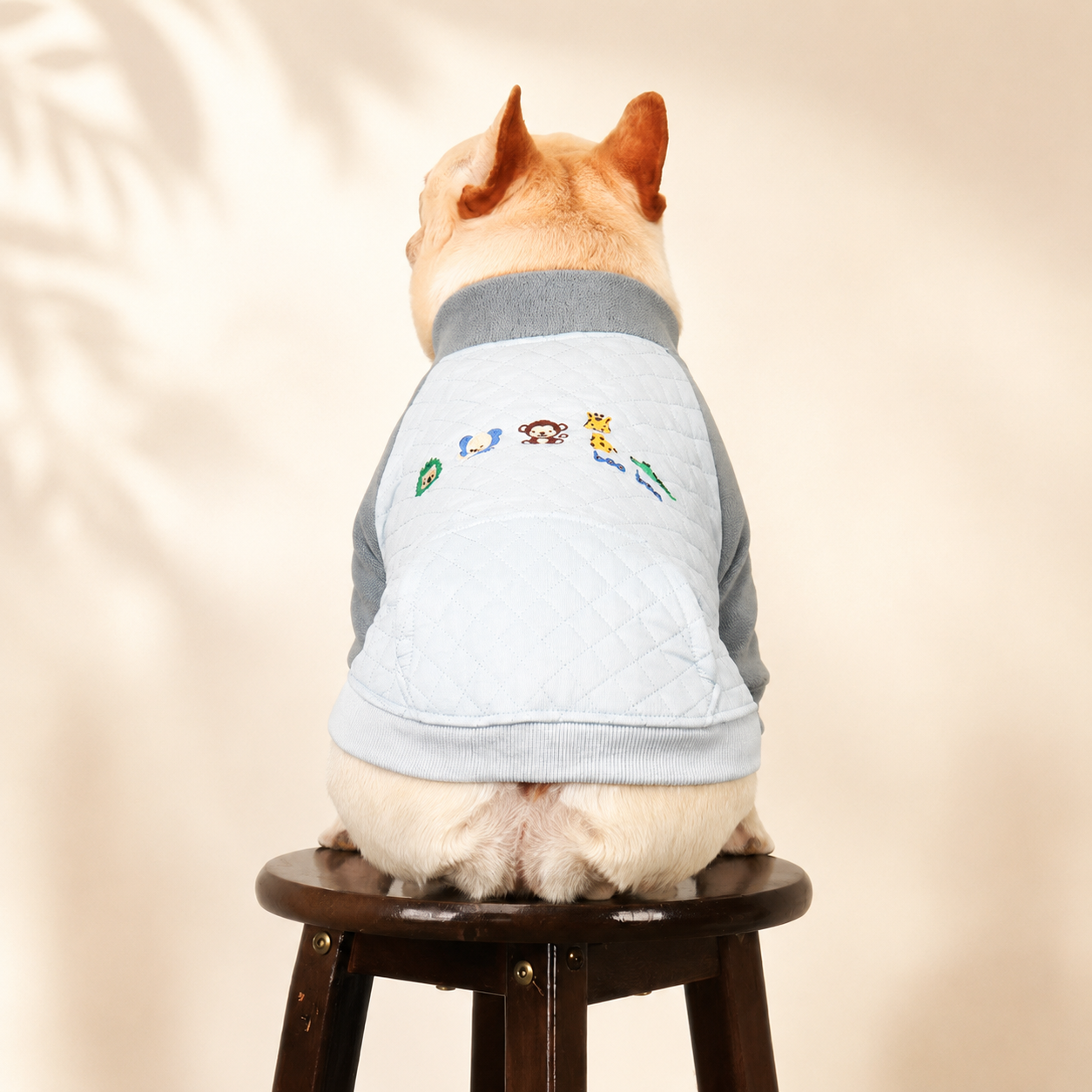 Frenchie Winter Coat