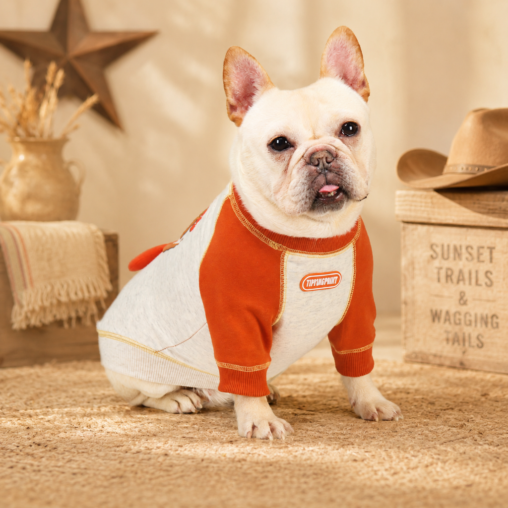 French Bulldog Embroidered Colorblock Sweatshirt