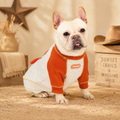 French Bulldog Embroidered Colorblock Sweatshirt