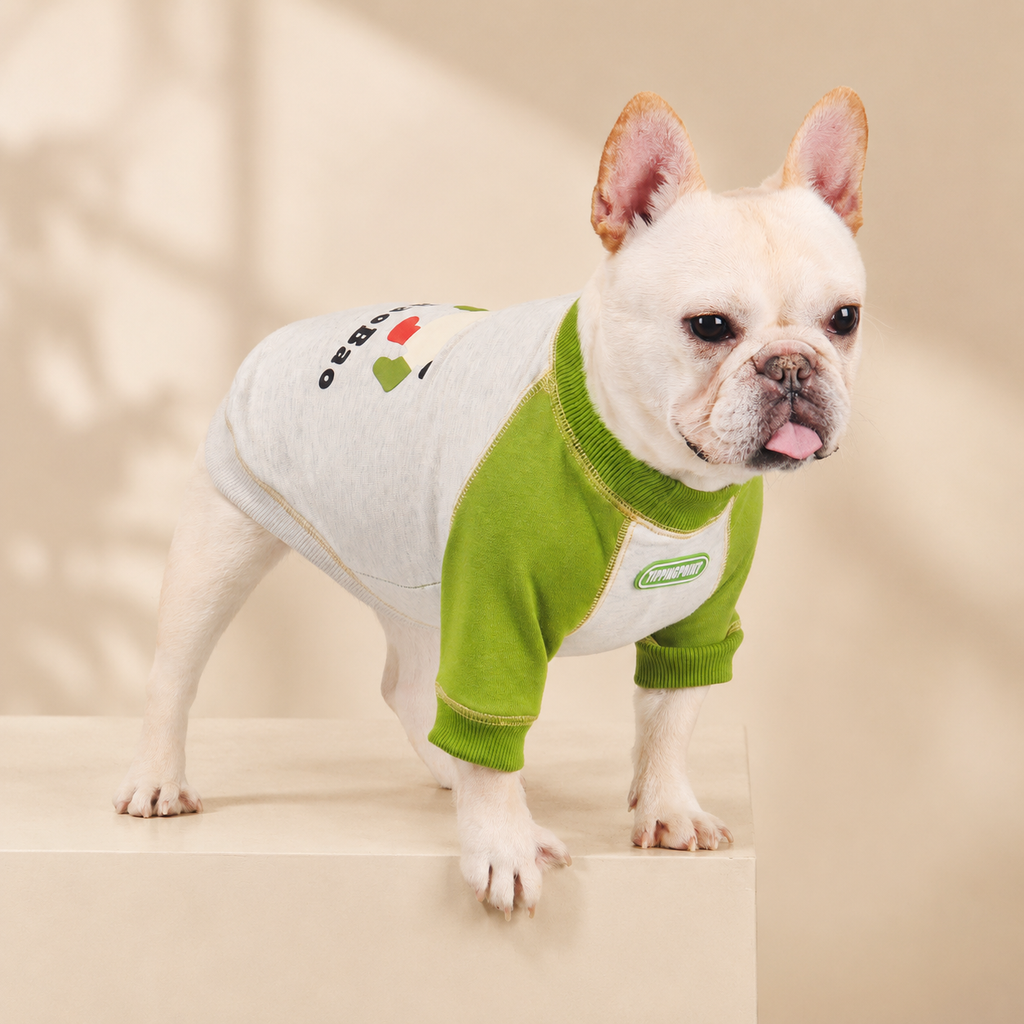 French Bulldog Print Colorblock Hoodie