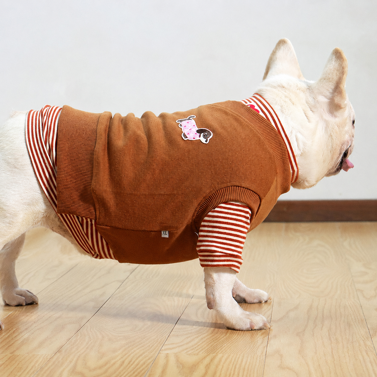 French Bulldog Spring & Autumn Vest