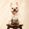Frenchie Winter Coat