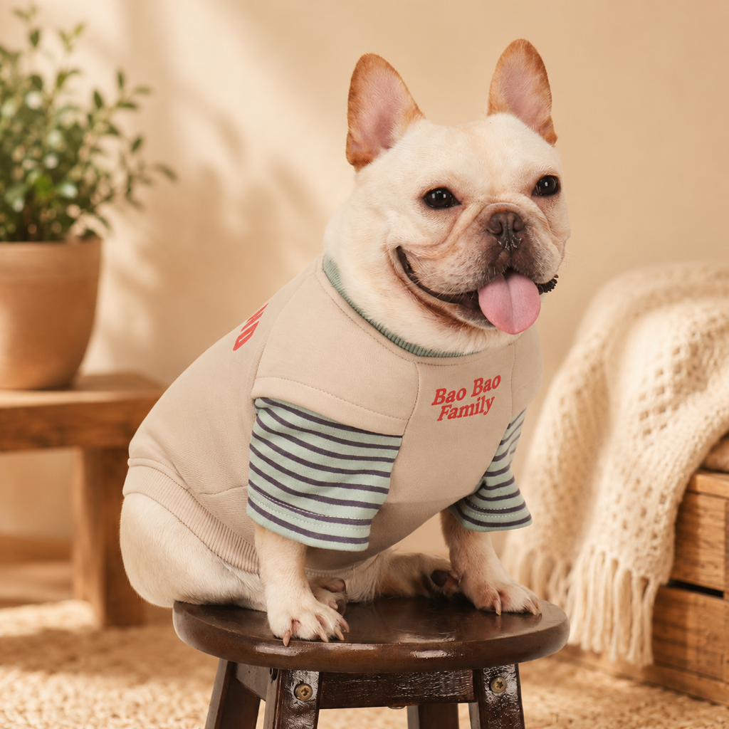 French Bulldog Embroidered Patchwork Sweatshirt
