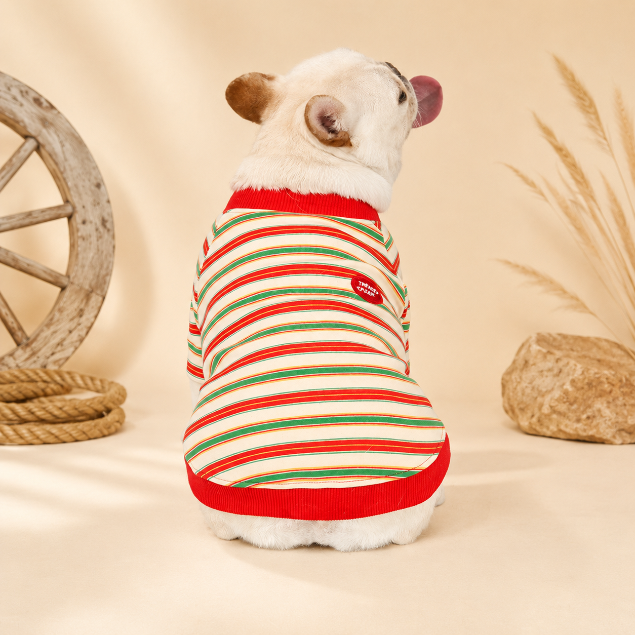 French Bulldog Striped Knit Hoodie