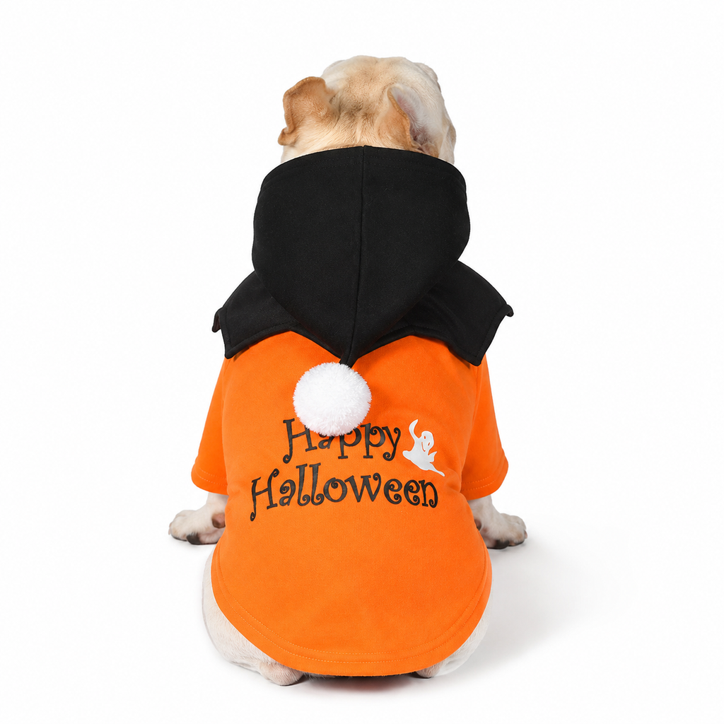 French Bulldog Christmas Outfit