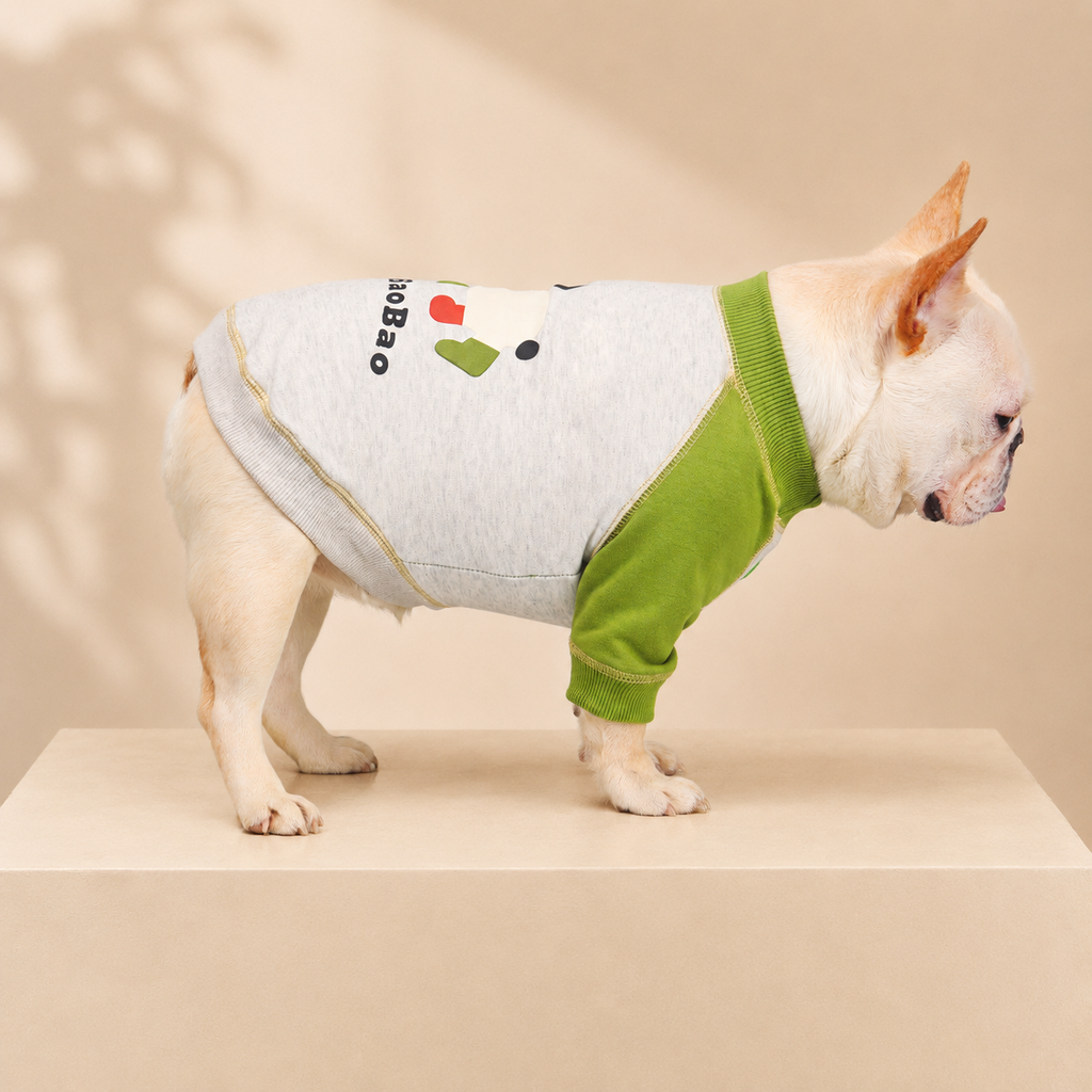 French Bulldog Print Colorblock Hoodie