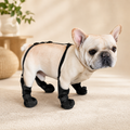 Waterproof Four-Leg Harness Boots for French Bulldogs
