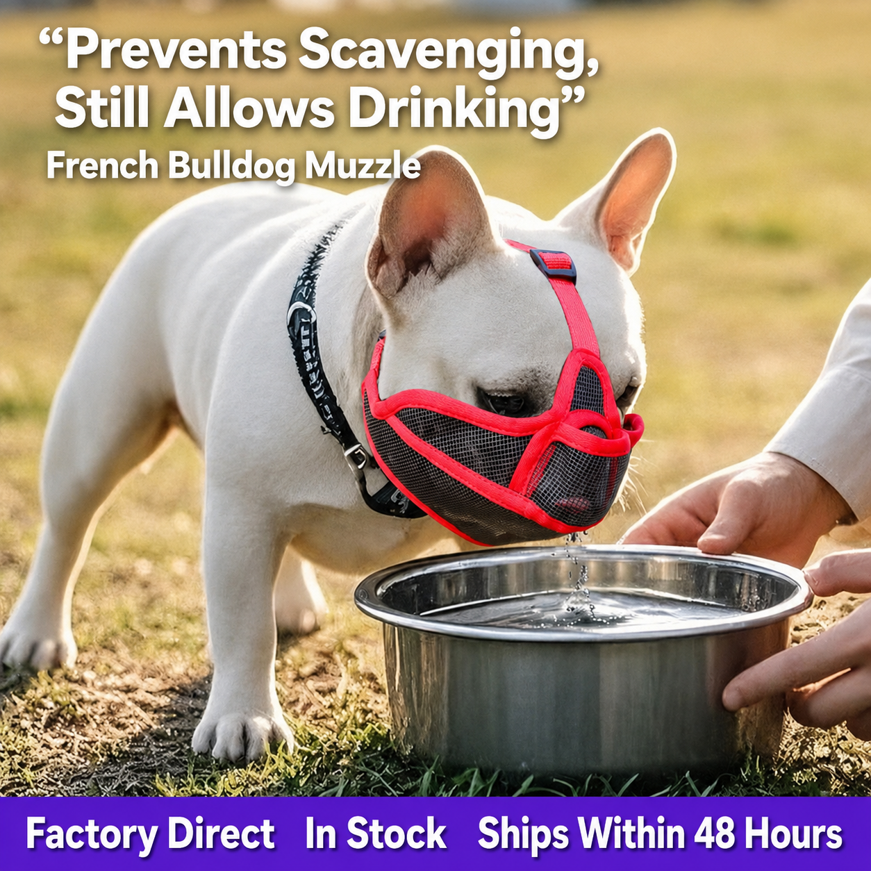 Breathable Anti-Scavenging Muzzle for French Bulldogs