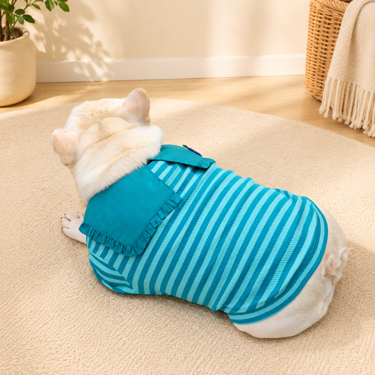 Spring Autumn Sailor Collar Striped Sweatshirt