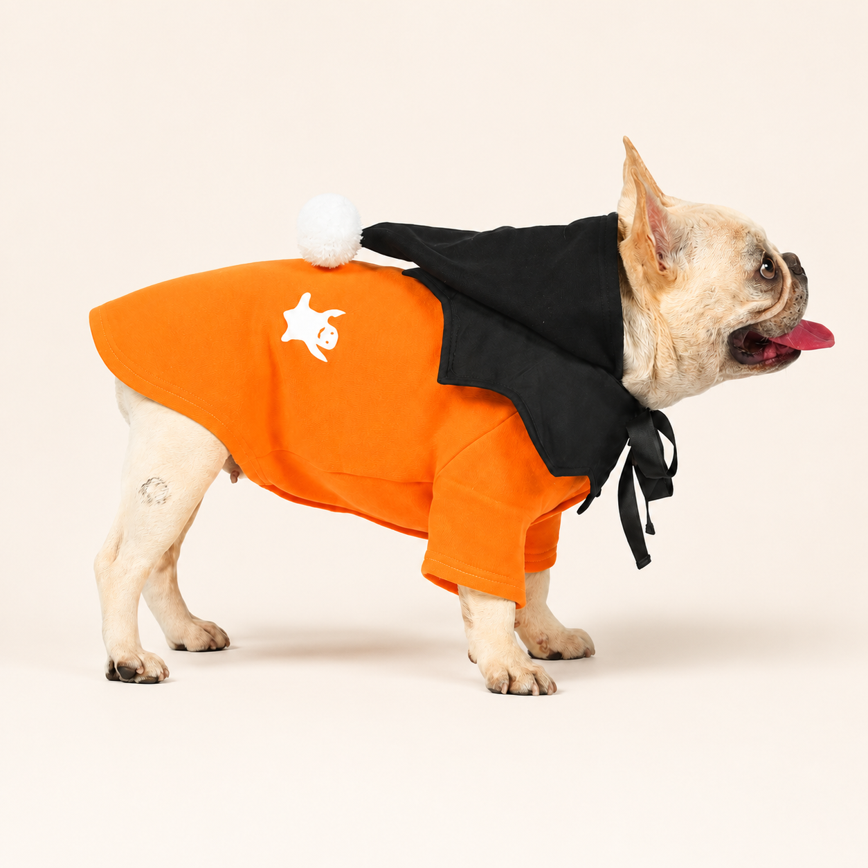 French Bulldog Christmas Outfit
