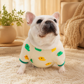 Duck-print four-leg pajamas on French Bulldog