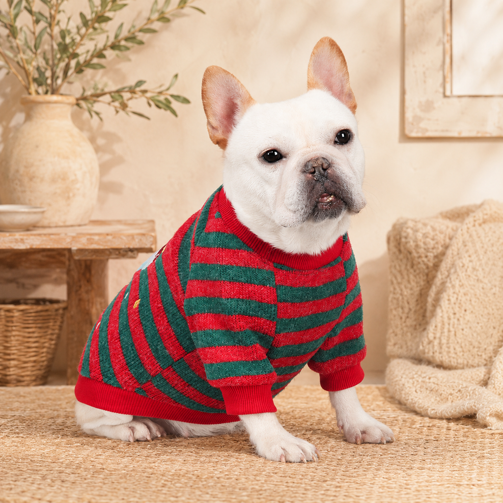 French Bulldog Knit Hoodie