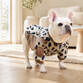 Frenchie Leopard Colorblock Sweatshirt