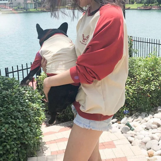 French Bulldog Color-Block Sweater