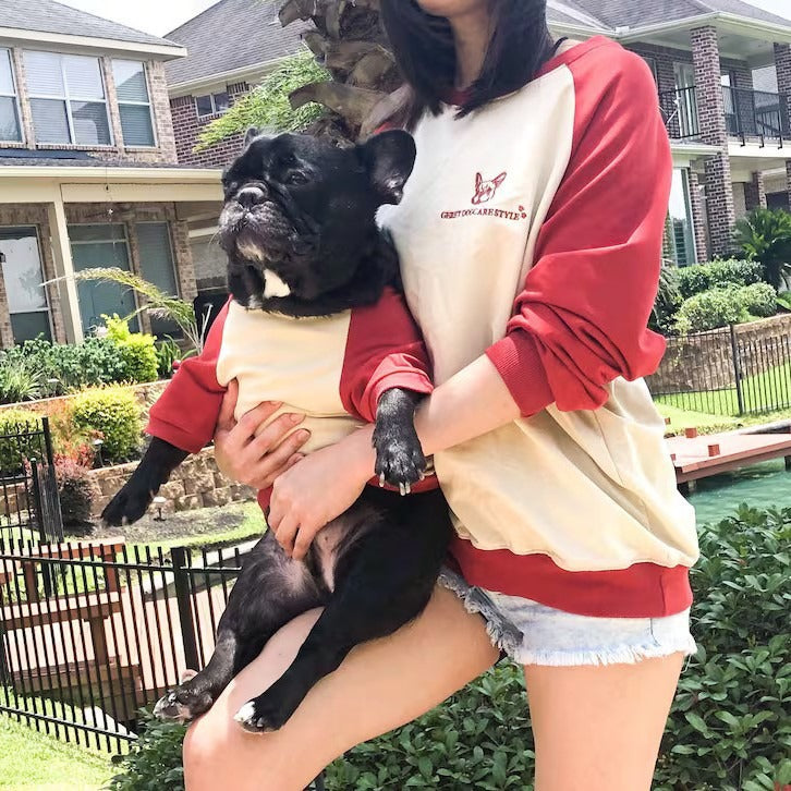 French Bulldog Color-Block Sweater