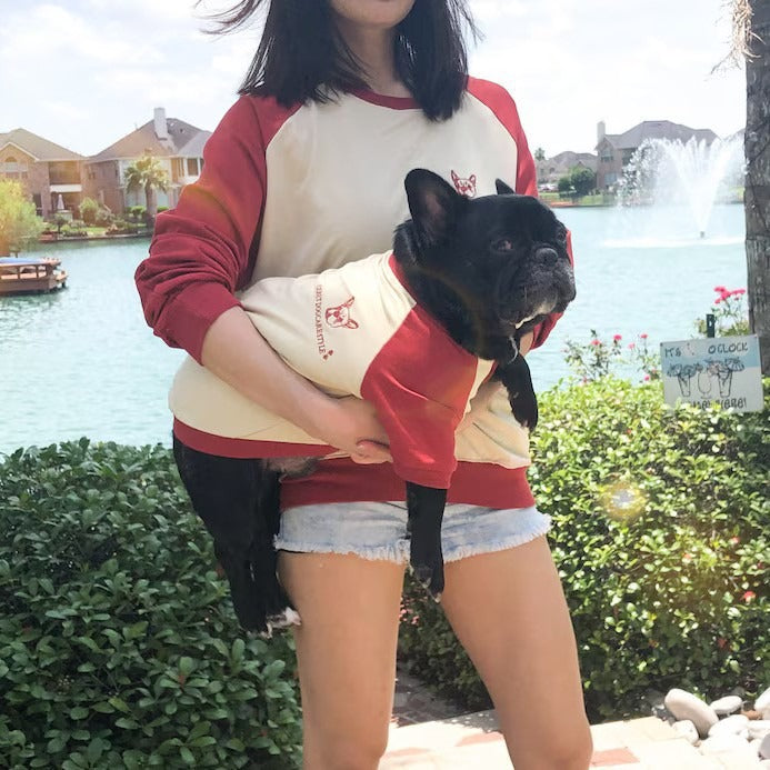 French Bulldog Color-Block Sweater