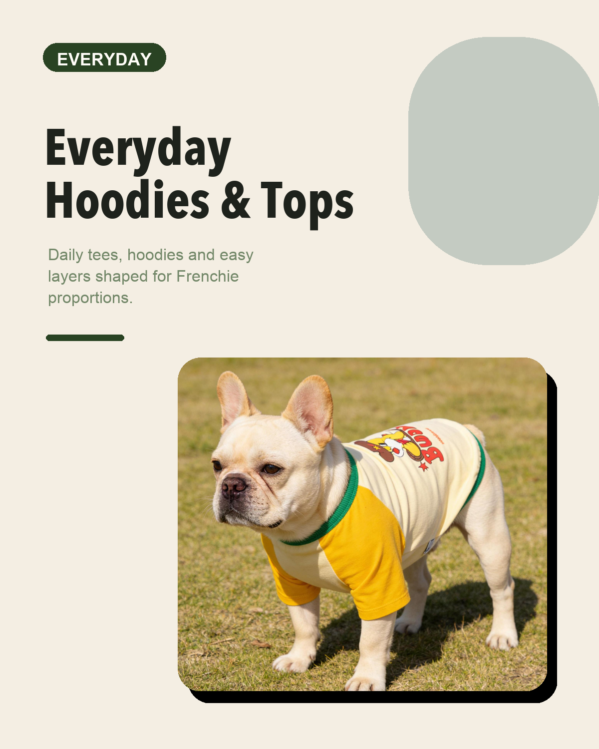 Everyday Hoodies & Tops