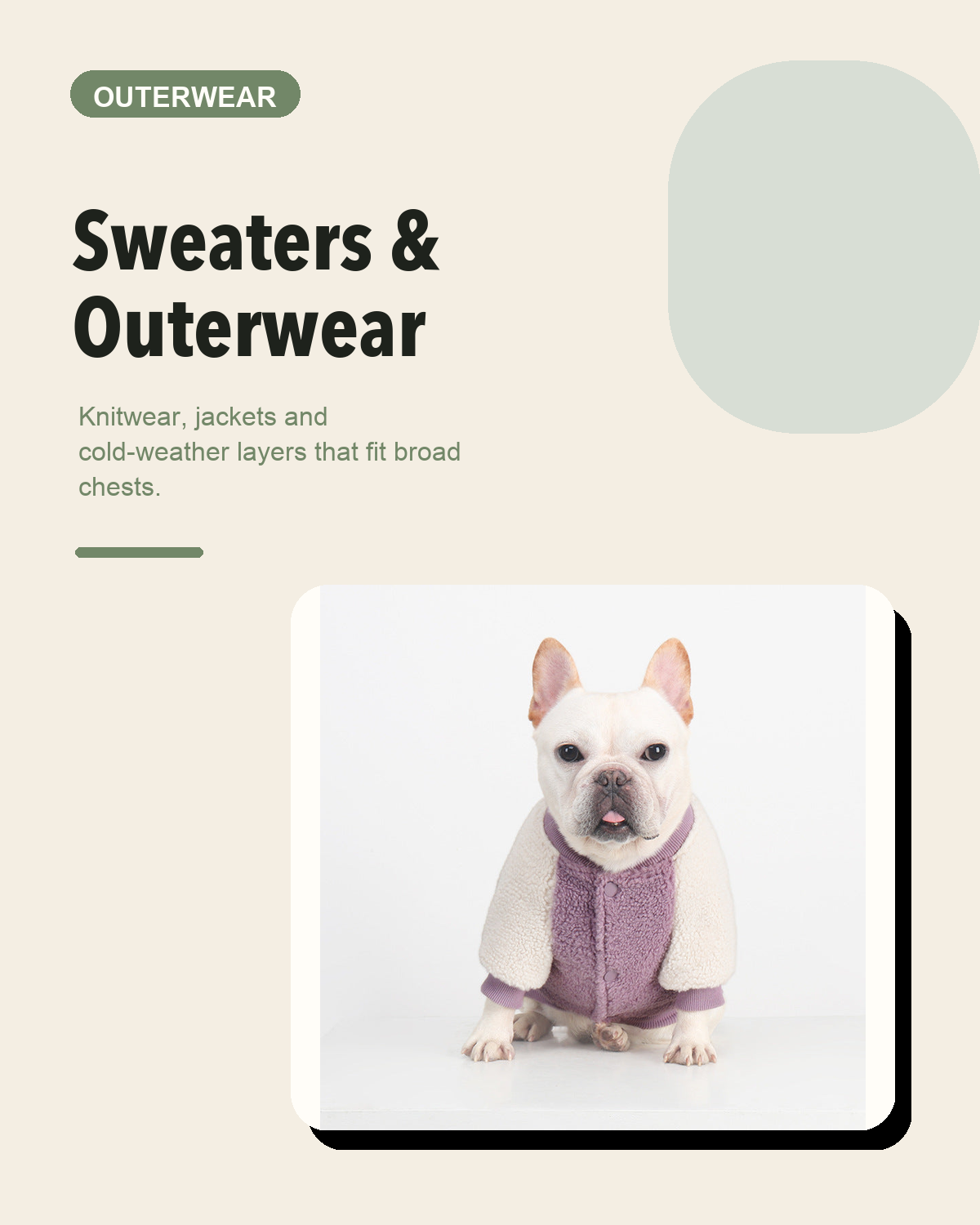 Sweaters & Outerwear