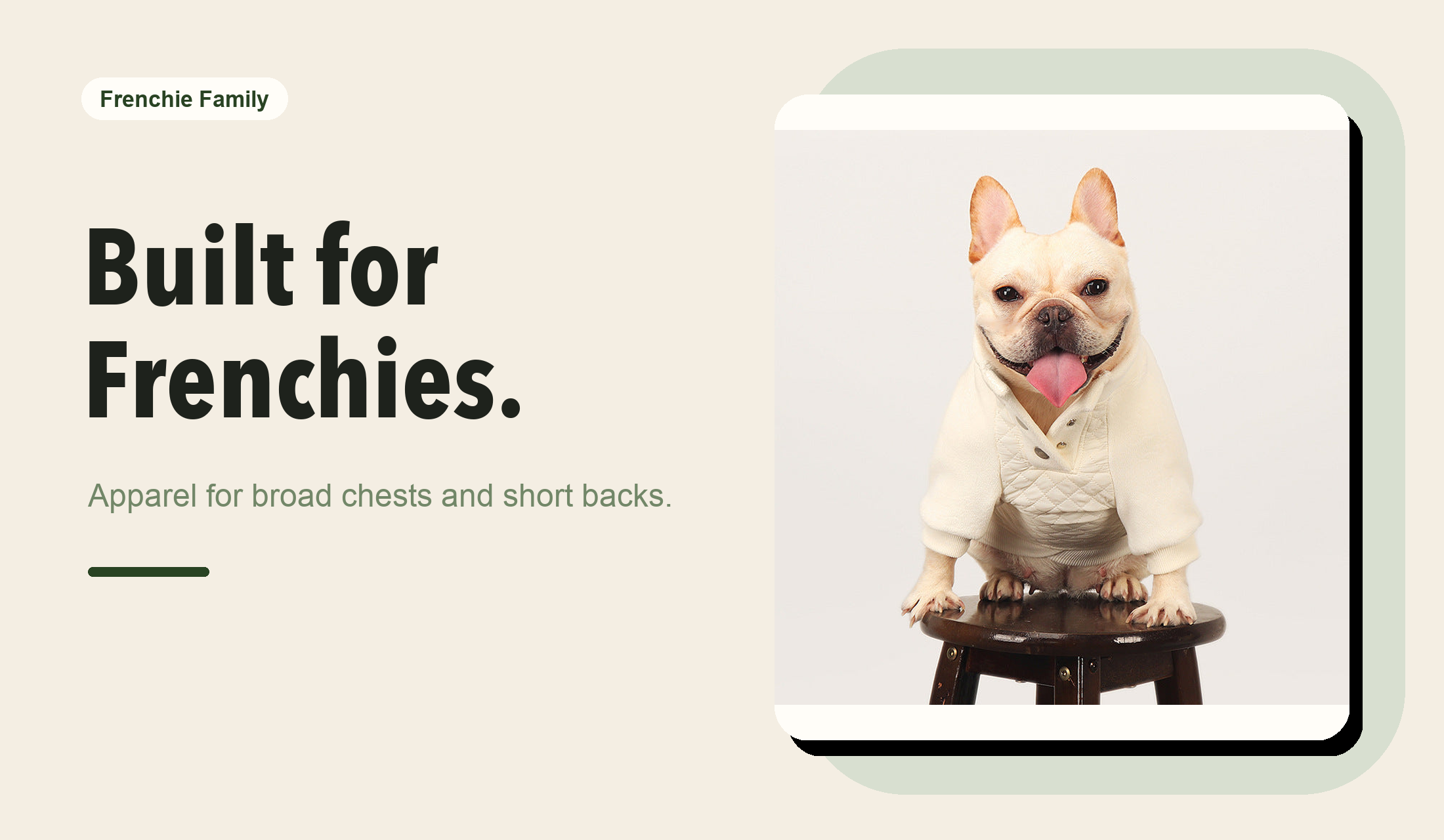 Frenchie Family Frenchie-first apparel hero image
