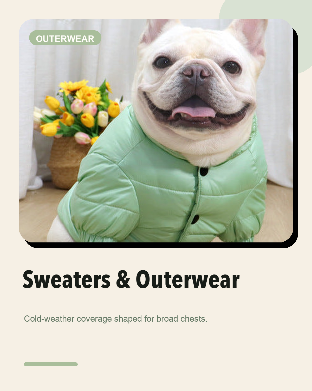 Sweaters & Outerwear